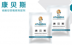 踏青賞花，莫負(fù)時(shí)光。